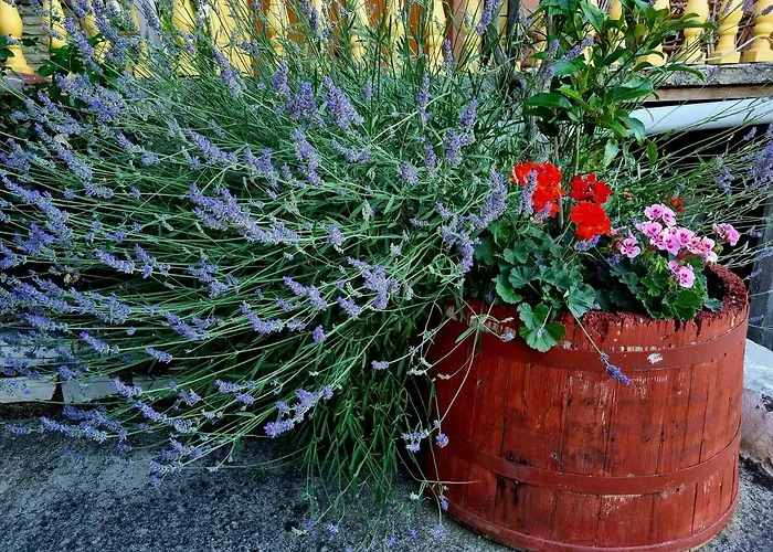 Jimis Апартаменты *